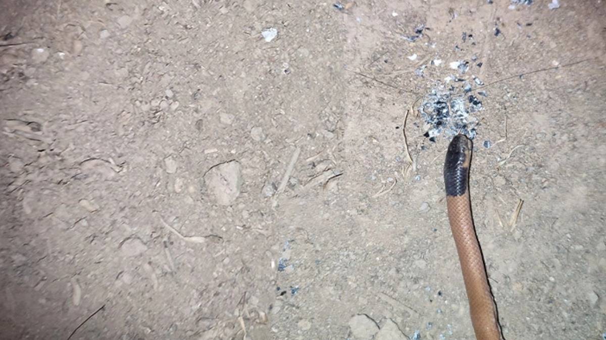 fdfdfd-2023-09-15t135409-550-001