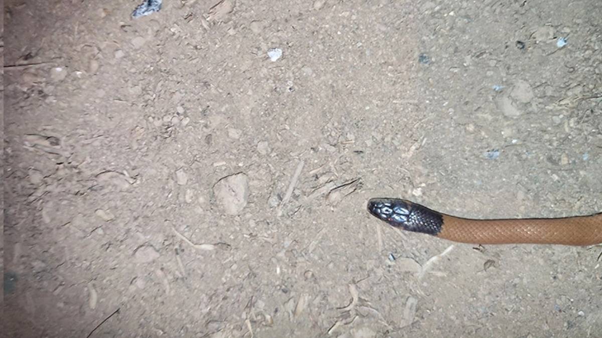 gfgfgf-2023-09-15t135426-279