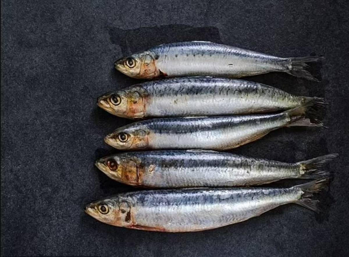 balik-yedikten-sonra-botulizm-hastaligina-yakalandilar-4