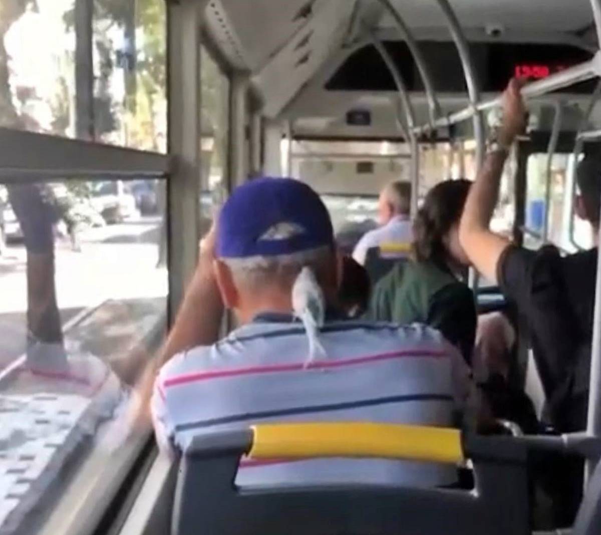 ensesine-konan-muhabbet-kusuyla-boyle-seyahat-etti-2