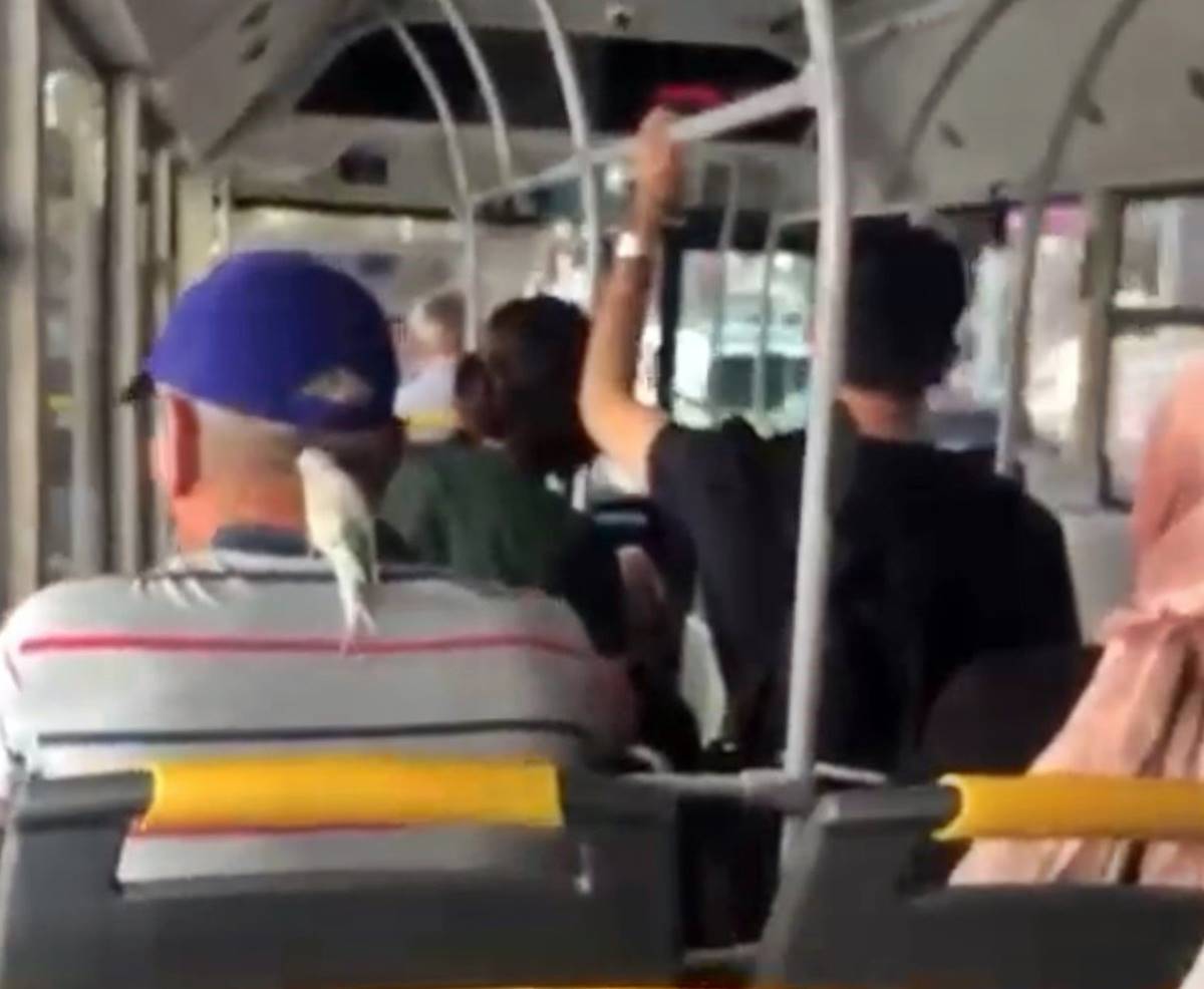 ensesine-konan-muhabbet-kusuyla-boyle-seyahat-etti-3