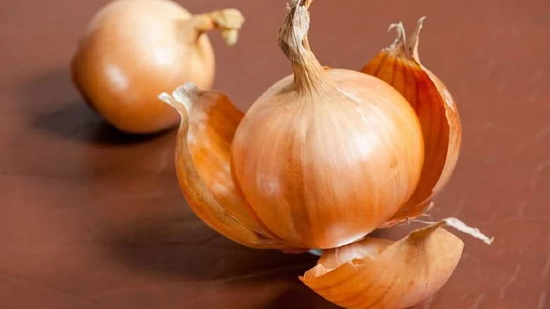 shutterstock-138121343-1-16-9-1553156356-880x495