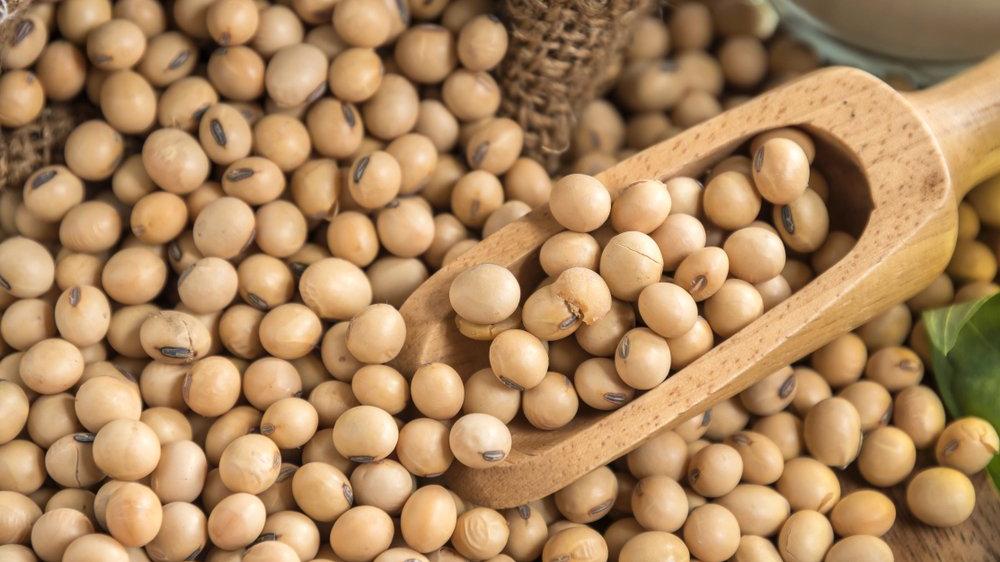 soya-fasulyesi-16-9-1579517087