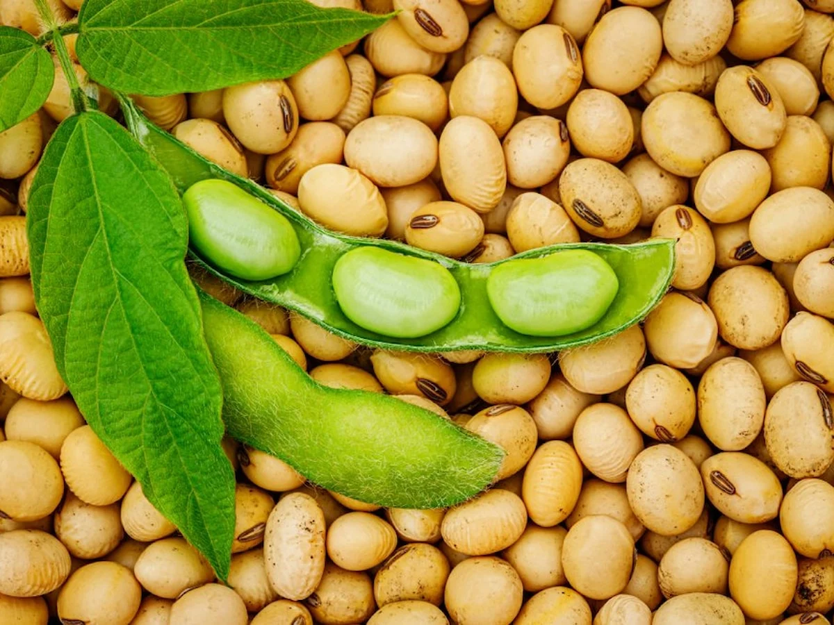 soya-fasulyesinin-faydalari