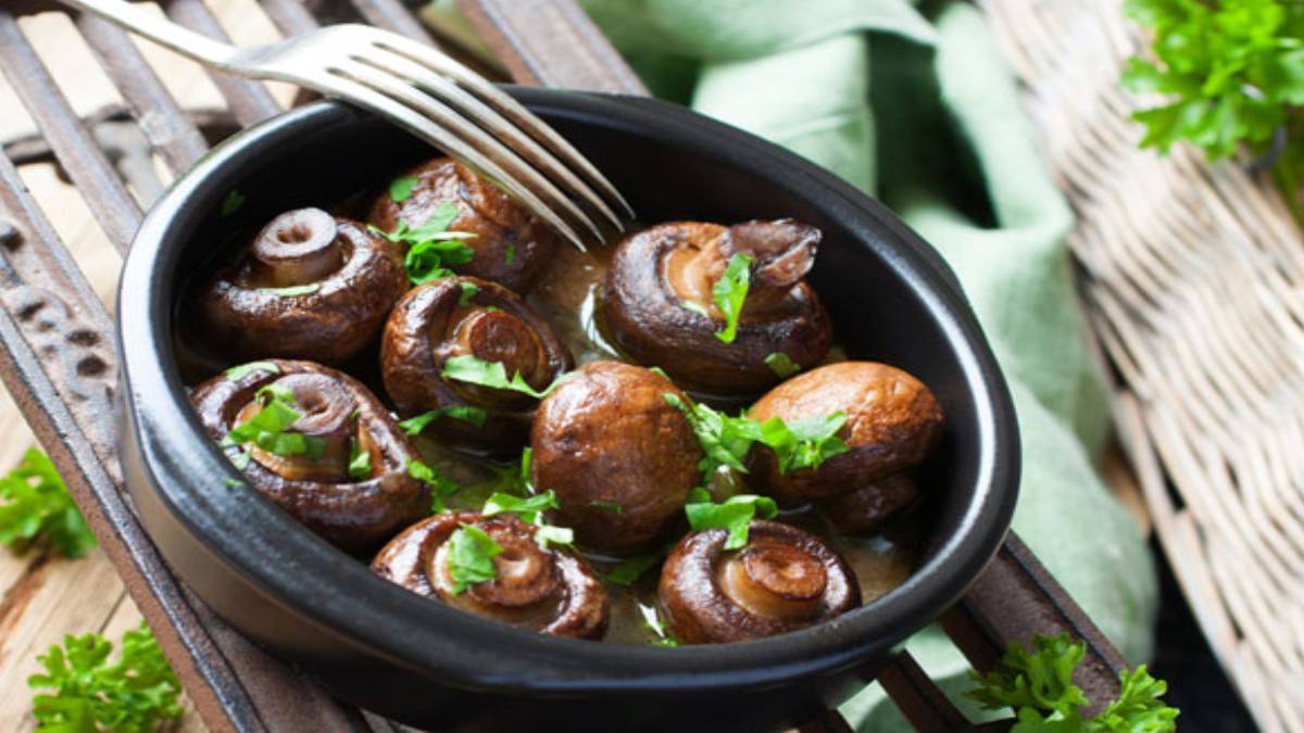 fdfdfd-2023-09-17t115513-182