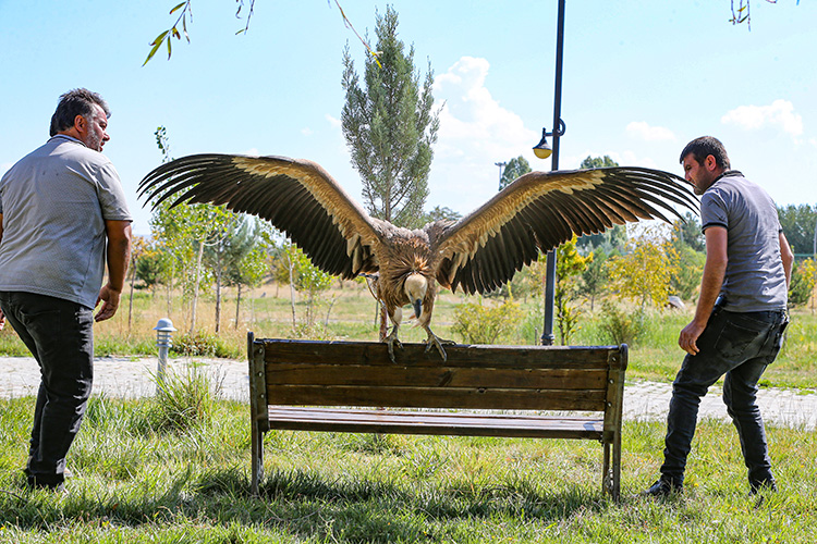 009-2023-04-2023-17-eylul-33-20230919-2-60329903-92892006