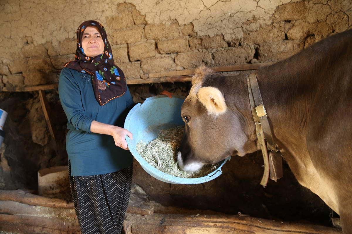 deprem-sonrasi-olu-olarak-kayitlara-gecen-kadin-yasadigini-ispatlamaya-calisiyor-6