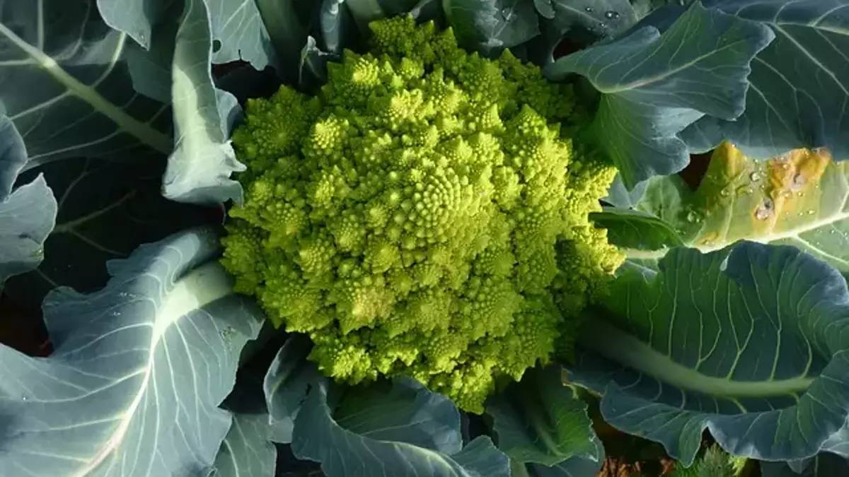 hgghgh-2023-09-20t122410-630