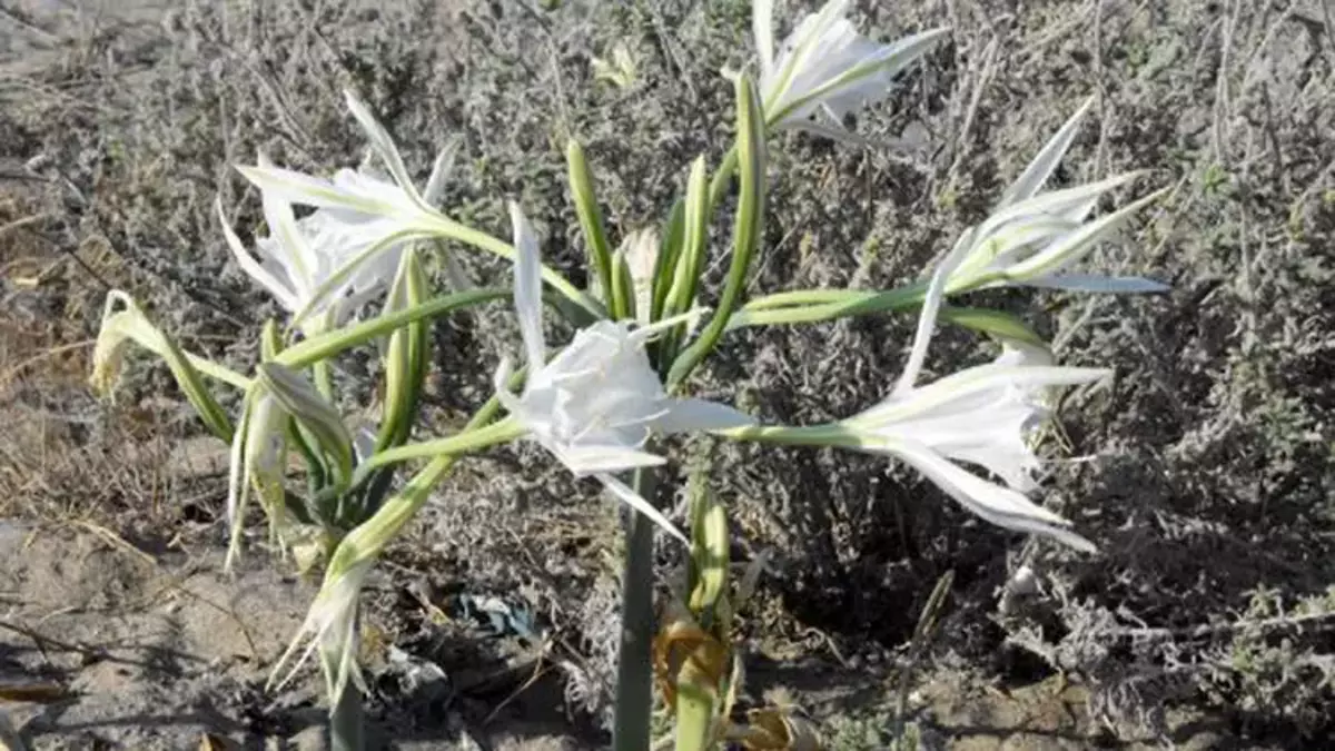 5f684d207152d80a28c38914