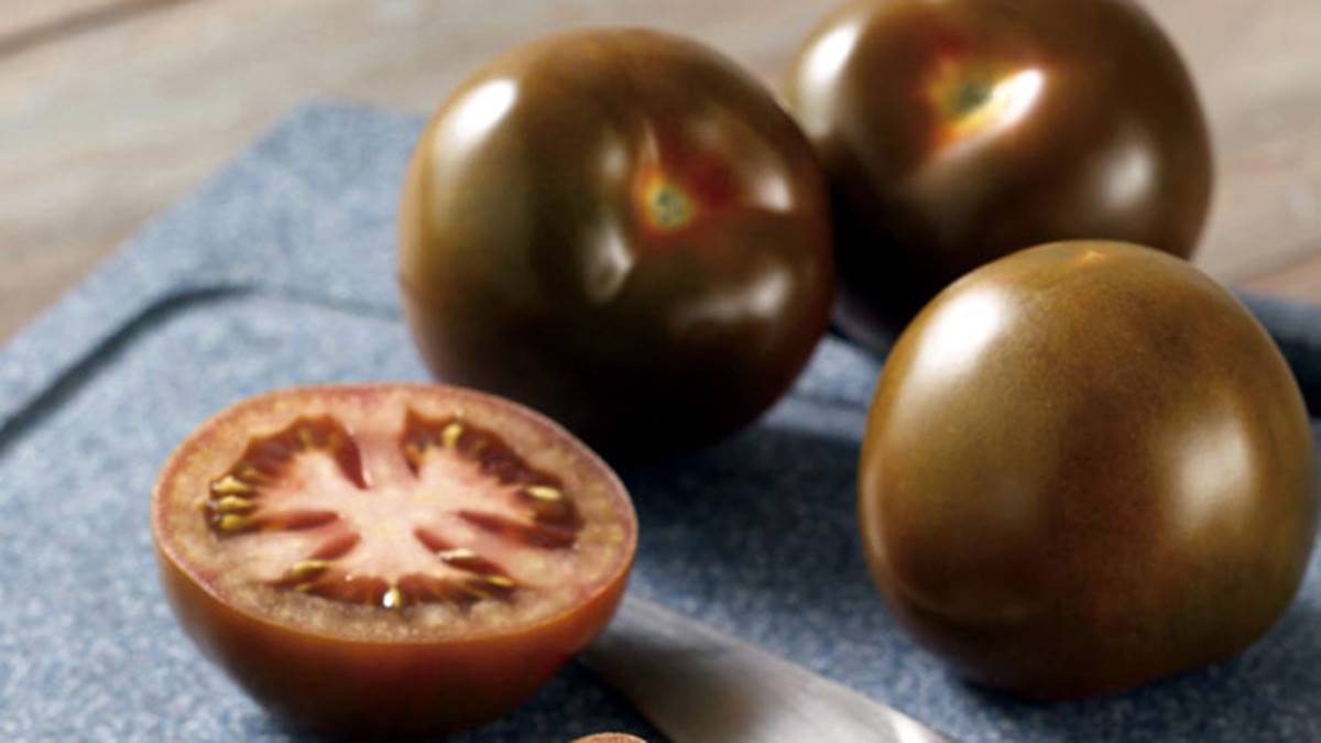 siyah-domatesin-faydalari-nelerdir-1