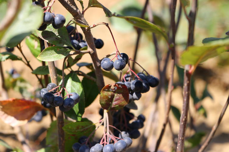 20230920-2-60350087-92933431