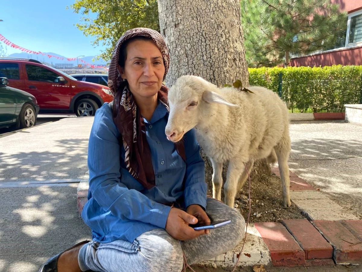 engelli-cocugu-icin-aldigi-kuzu-bir-an-olsun-16355029-amp