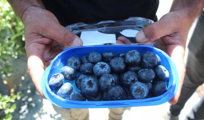 haberici-kurtarildi-1695026680