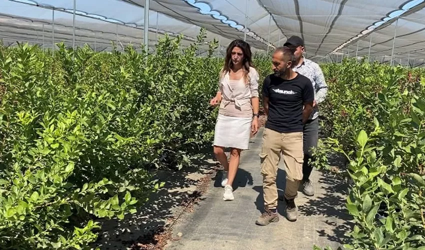 haberici-kurtarildi-1695026705