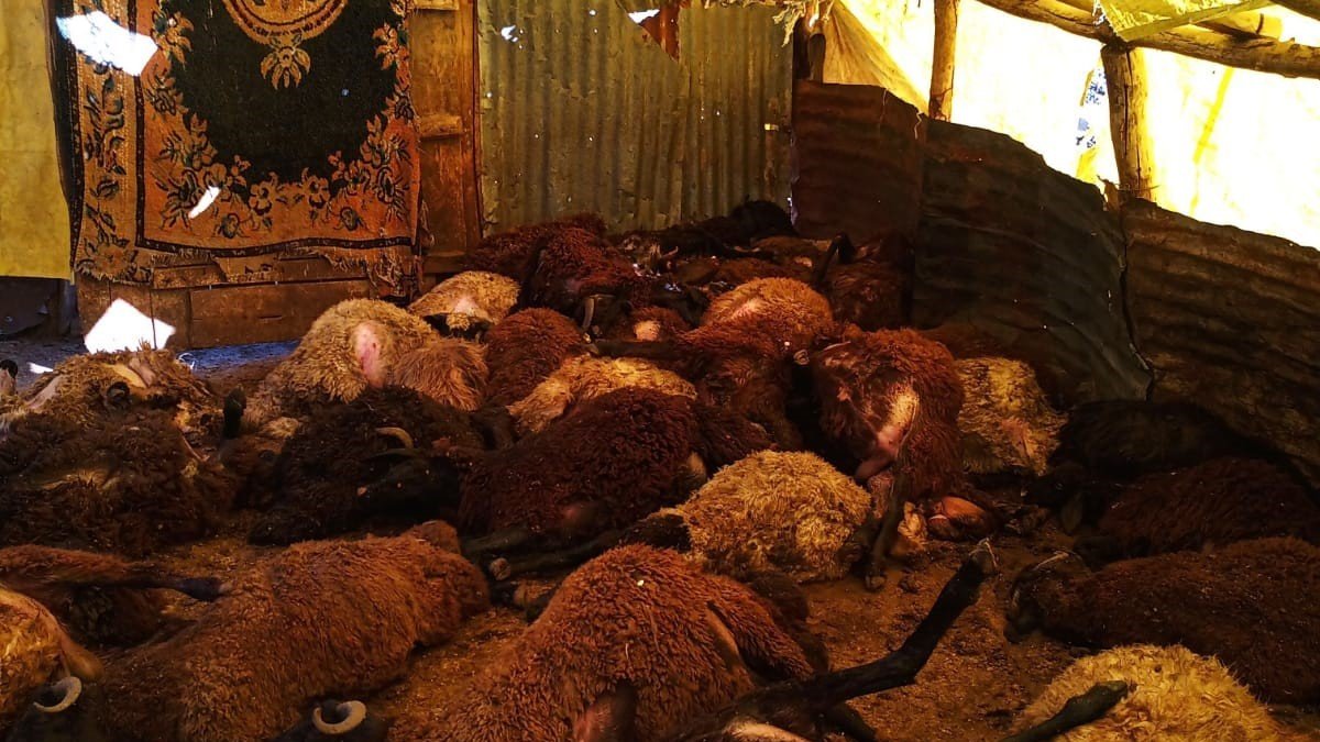 20230923aw036927-1-002