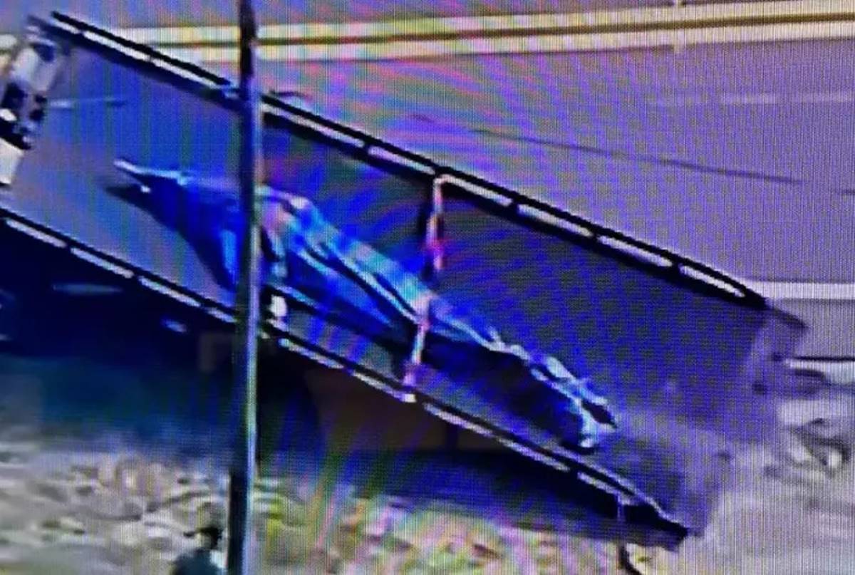 florida-sokakta-dolasan-timsahin-agzinda-ceset-var-3