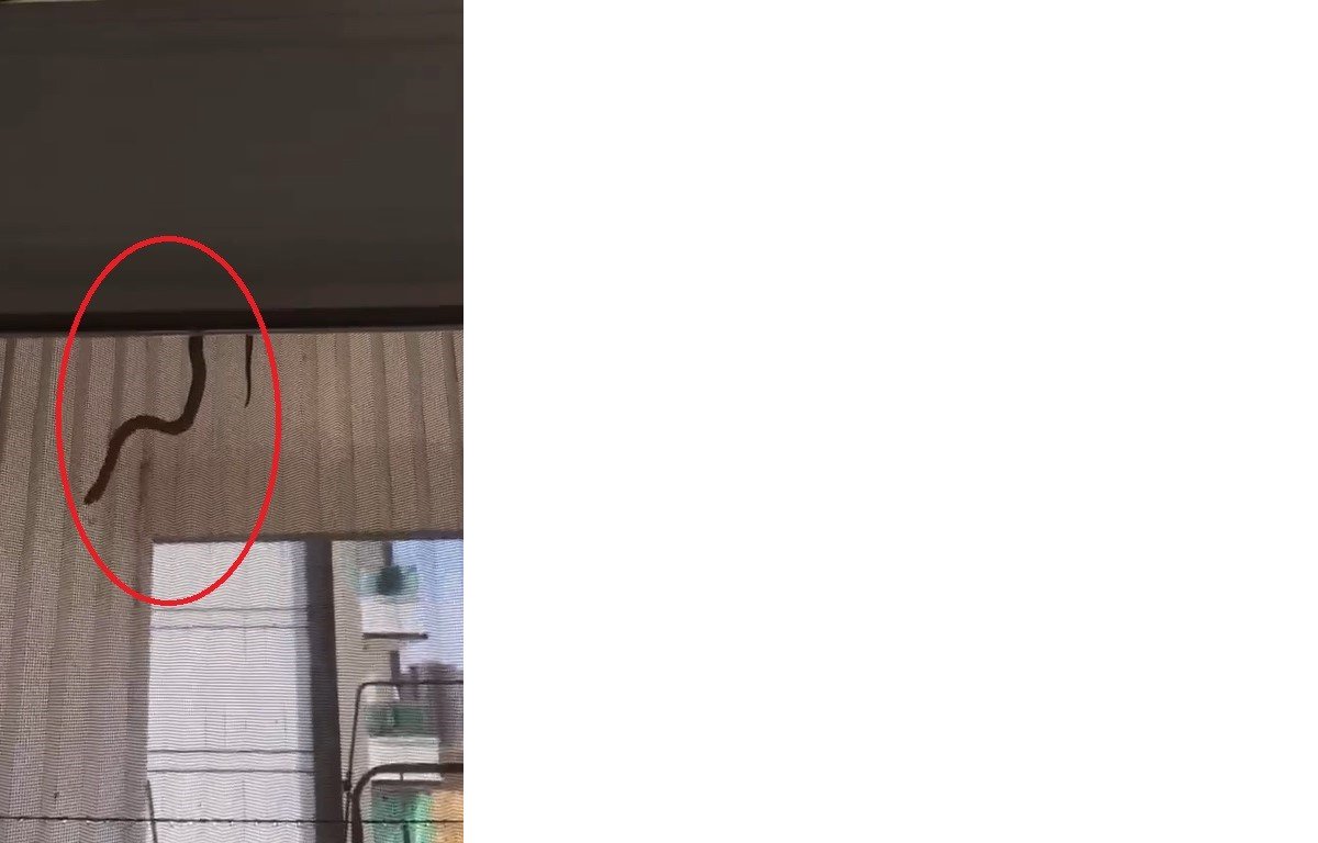 whatsapp-image-2023-09-23-at-17-42-50