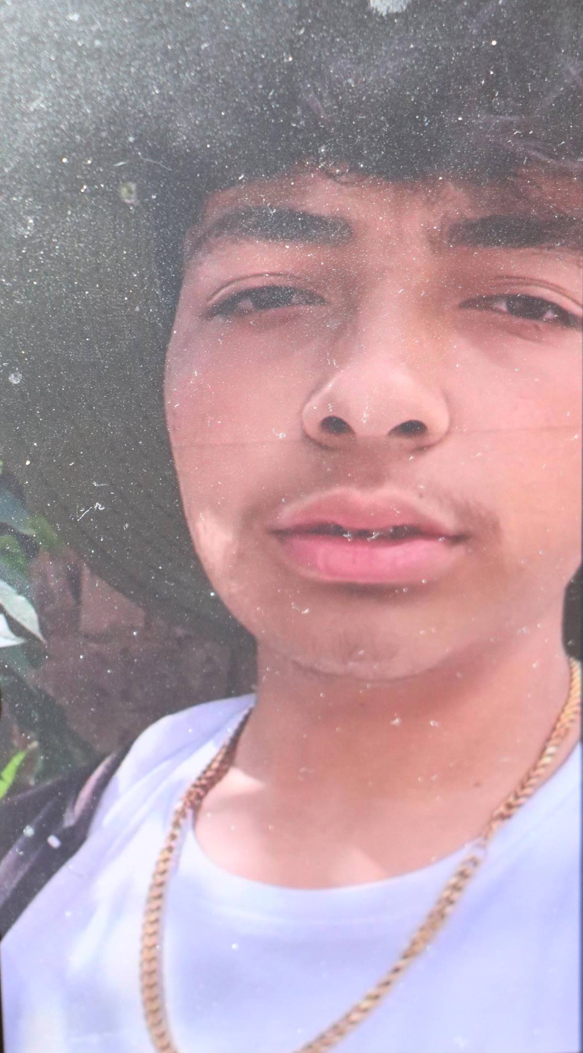 hayvan-otlatirken-uzerlerine-yildirim-dustu-1