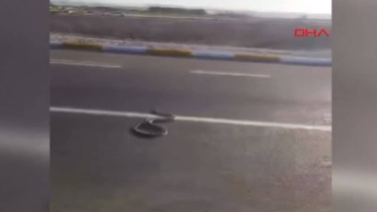 hghghg-2023-09-24t100359-909