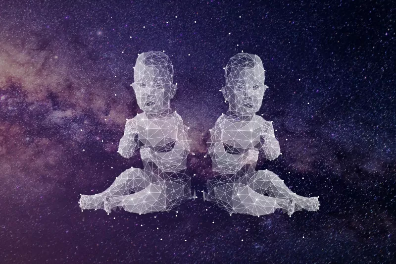 278929-800x533-zodiac-sign-matches-gemini