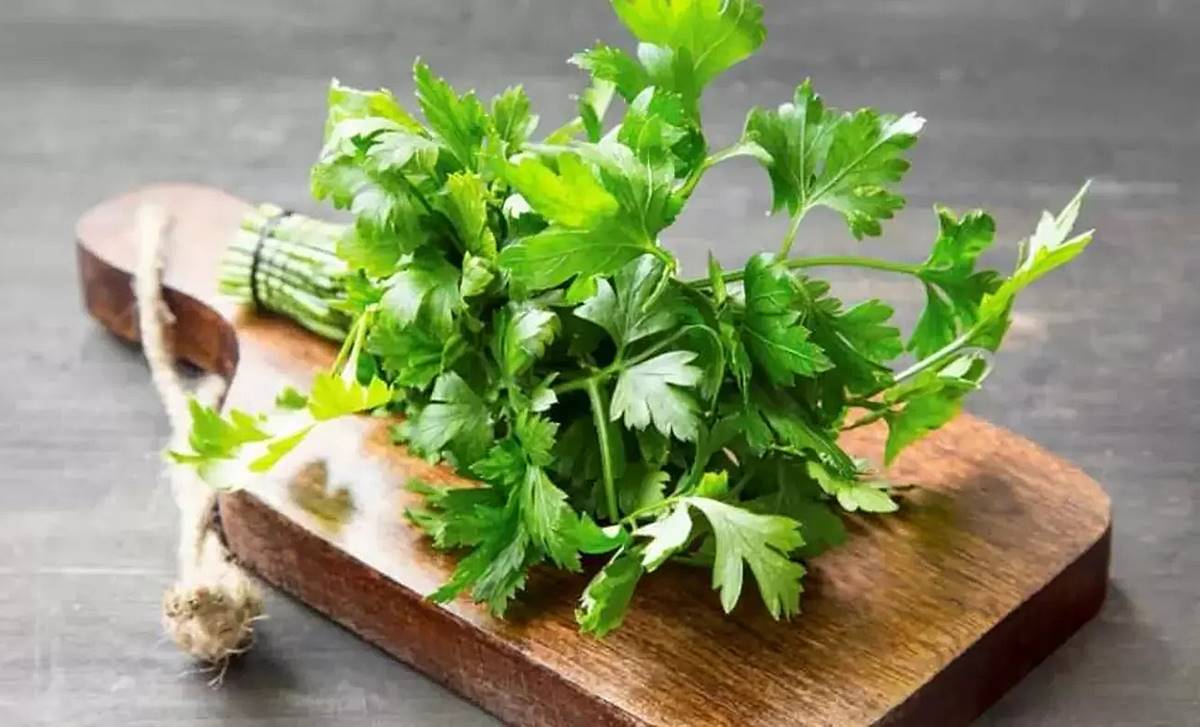 maydanozun-faydalari