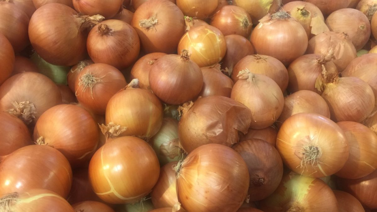 sogan-ithalati-1200x675