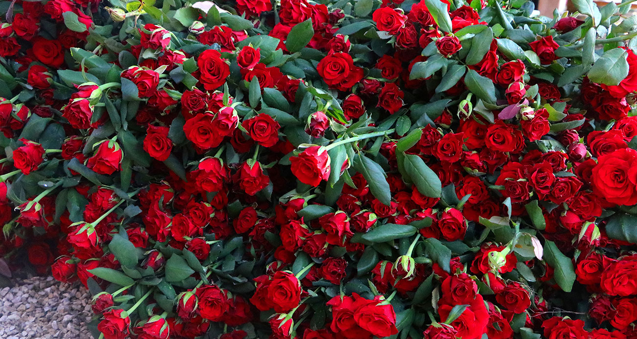 yenifoto-copygupgu-1695285245