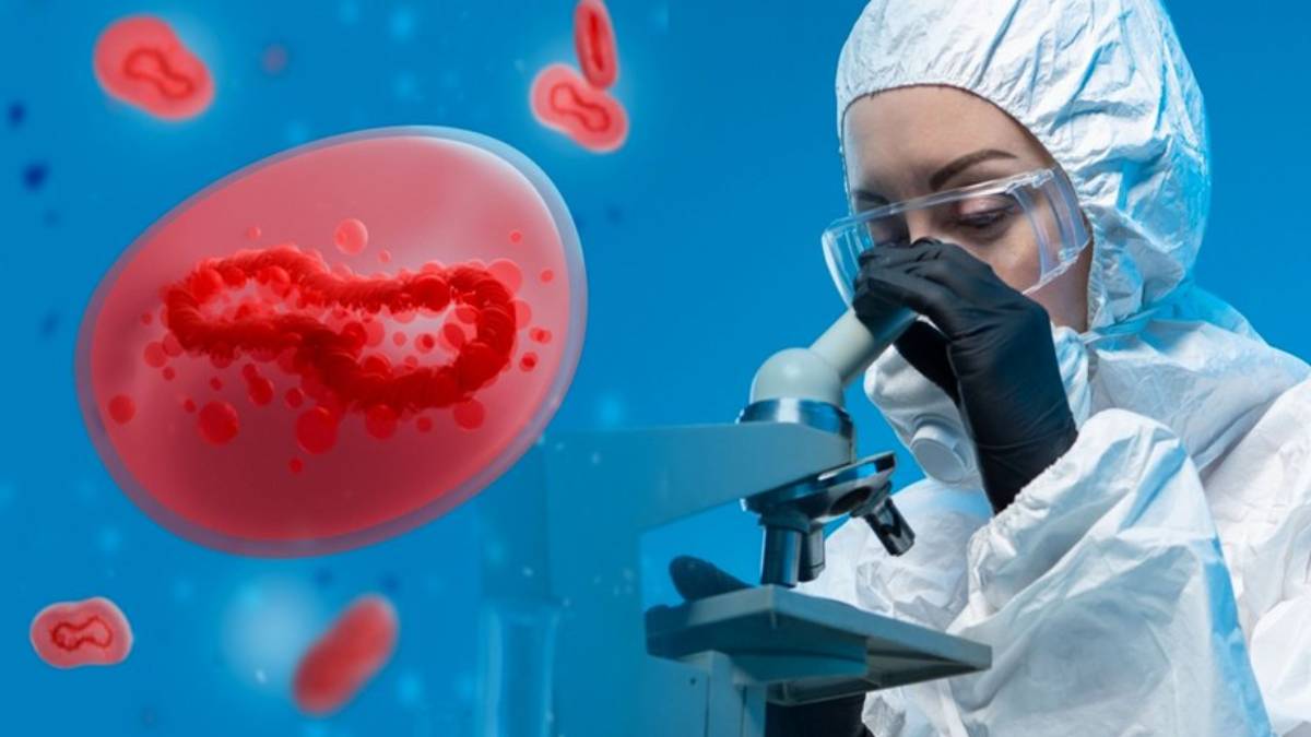 hghghg-2023-09-26t103514-716