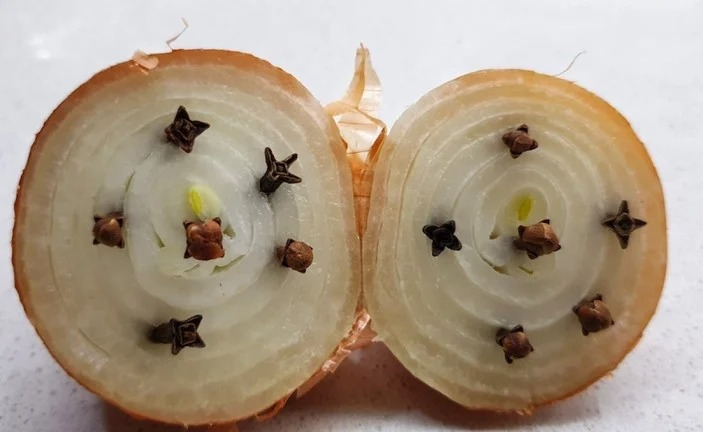 resim-2023-09-26-032408071