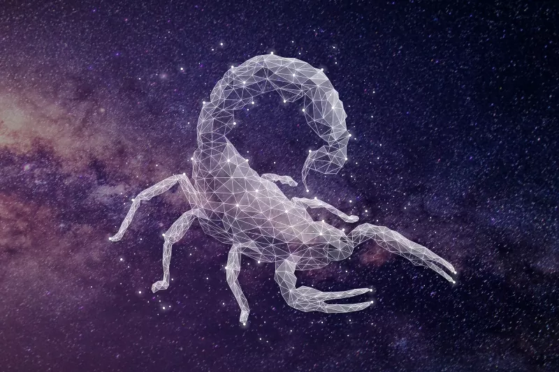 278934-800x533-zodiac-sign-matches-scorpio