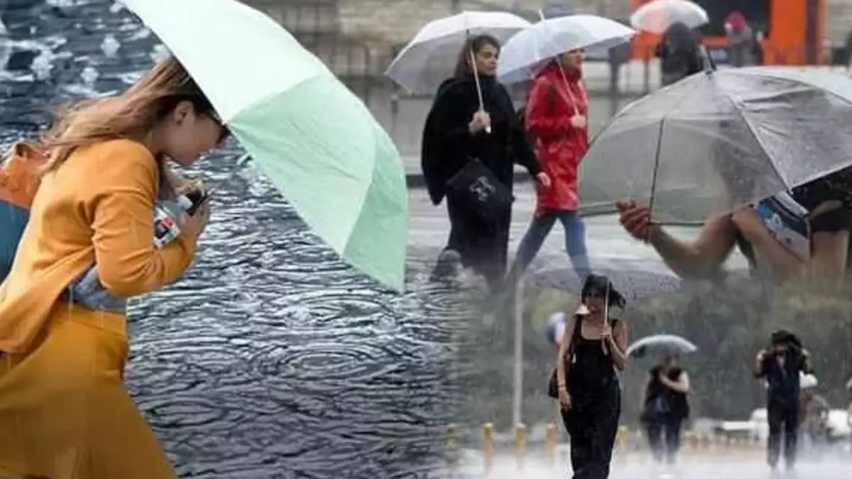 gfgfgf-2023-09-28t195933-782