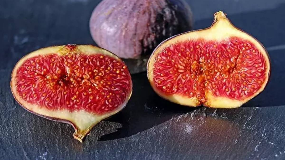 hghghg-2023-09-28t084715-215