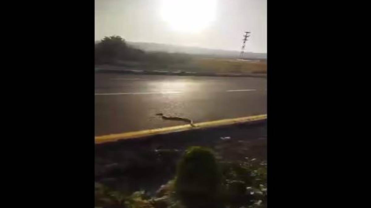 hghghg-2023-09-28t134904-886