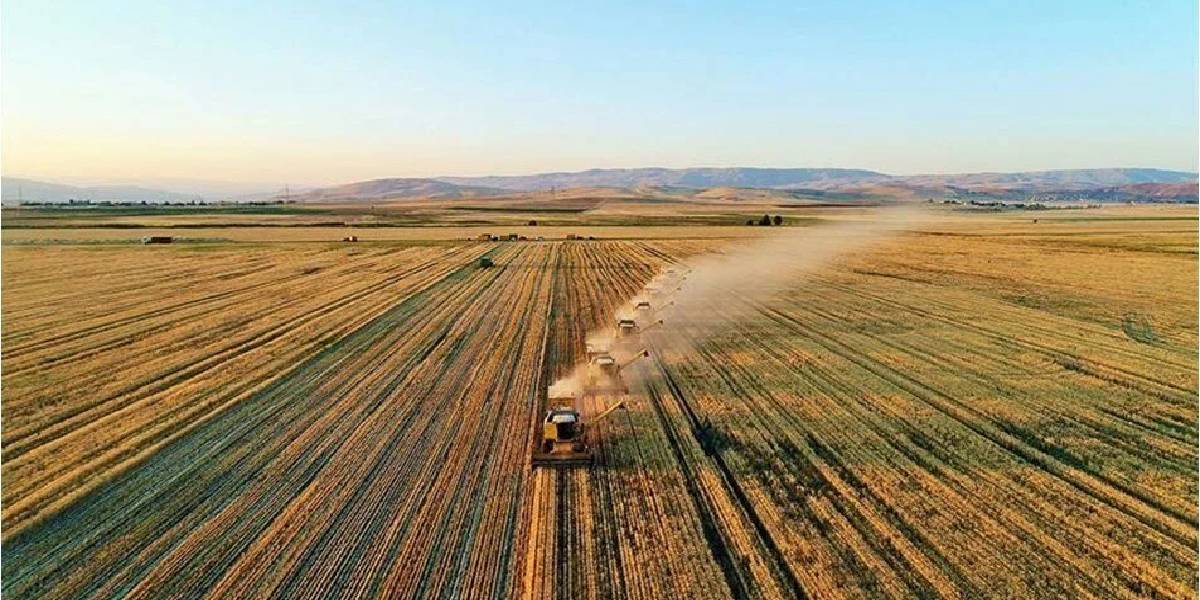 tarla-bos-kalmayacak