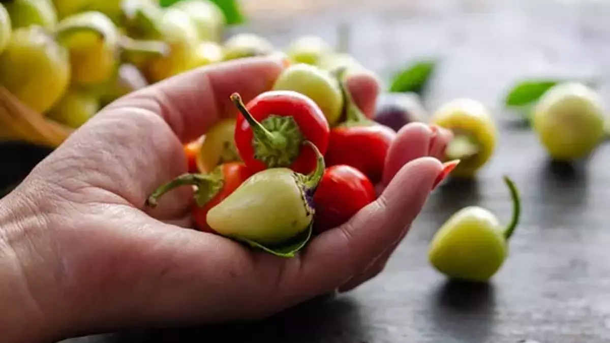 60cb784593215108900dadac