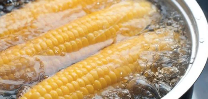 haslanmis-misir-suyu