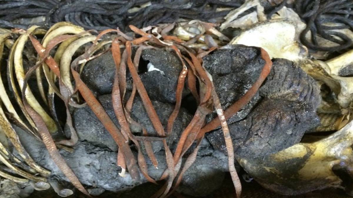 ghhggh-2023-09-30t094935-187