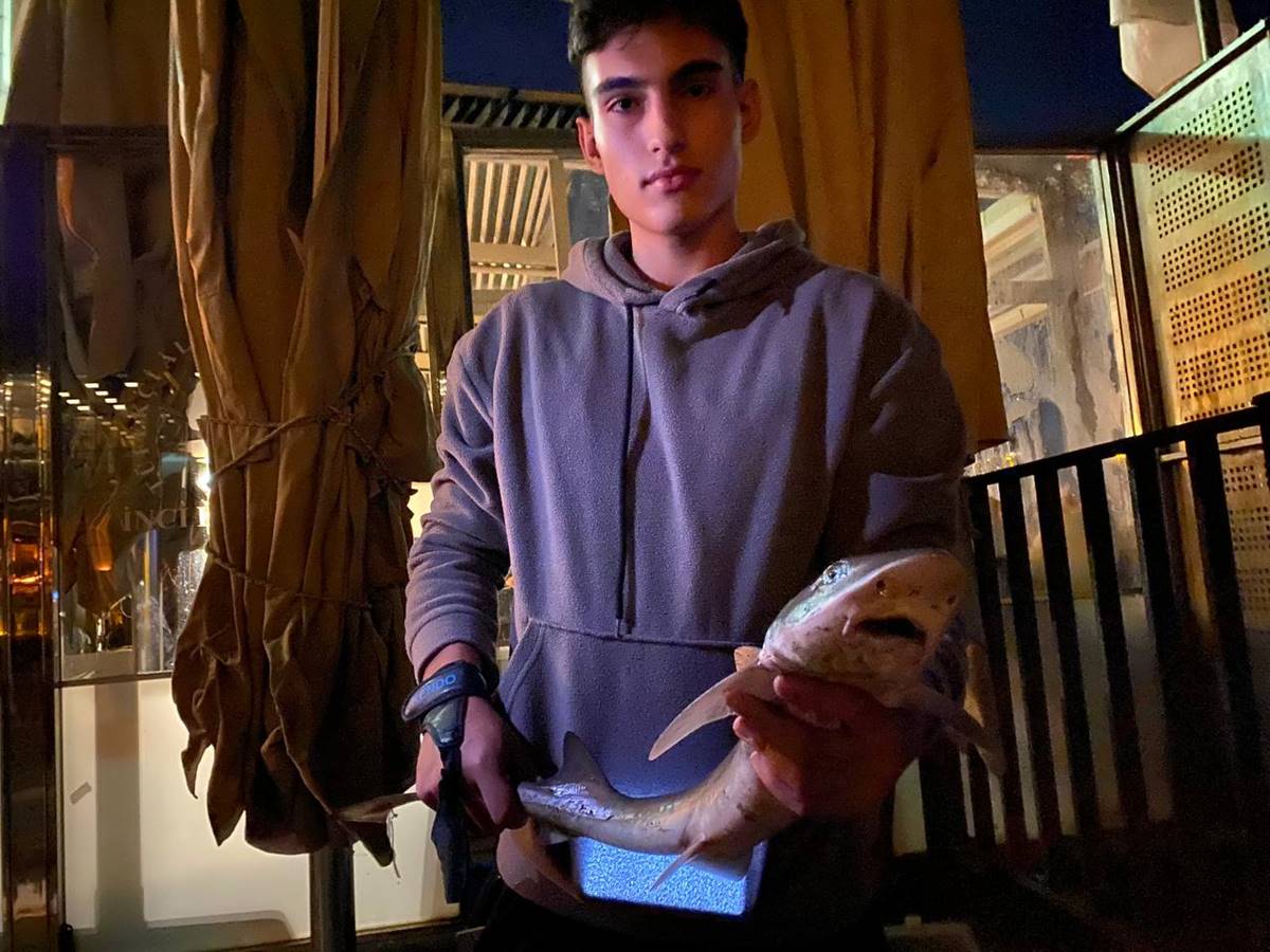 turkiyede-kopekbaligi-var-mi