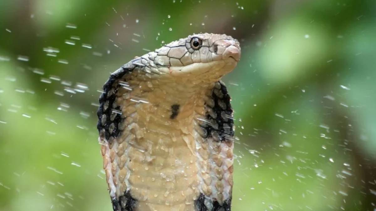 ghhghg-2023-10-01t125147-067