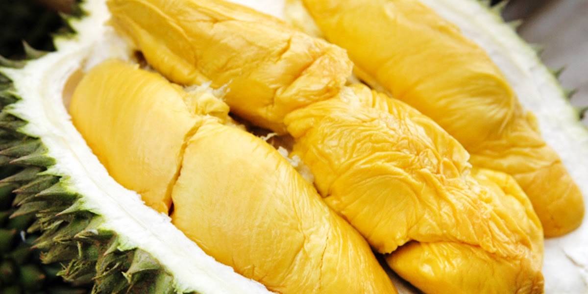 pulut-durian.jpg