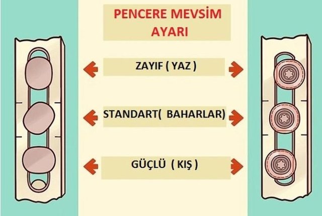 3626273-d961ba23947ef67794e52181f6db2454-640x640