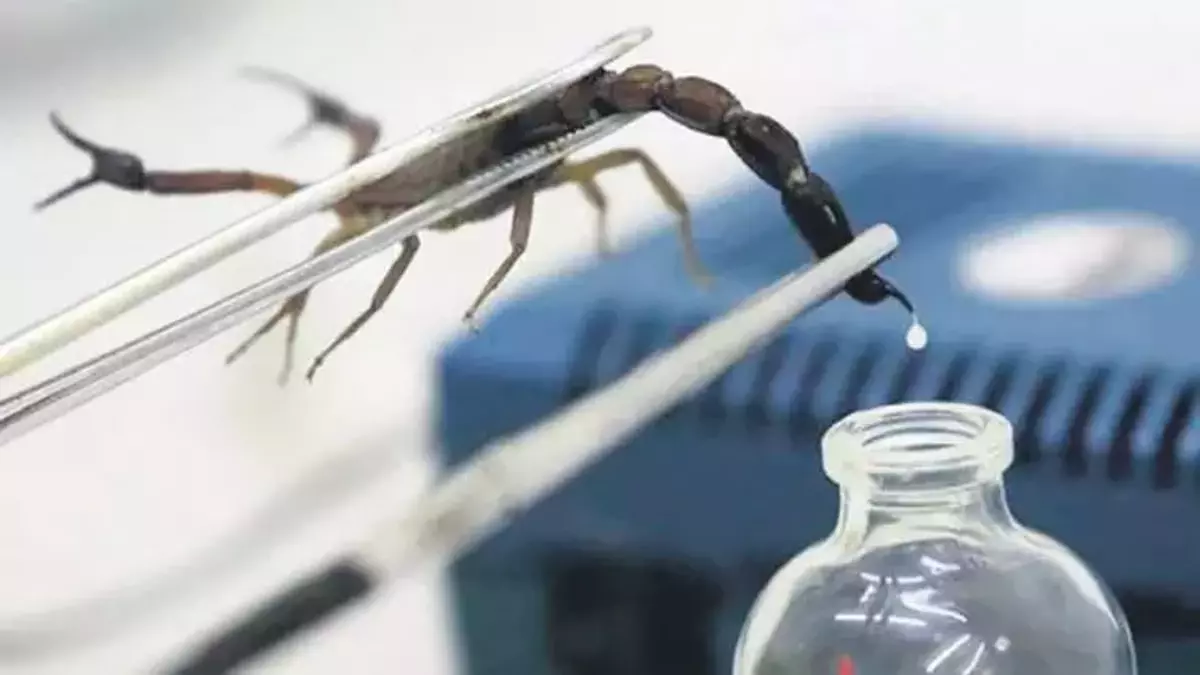 5be12102c03c0d28ccedf8c8