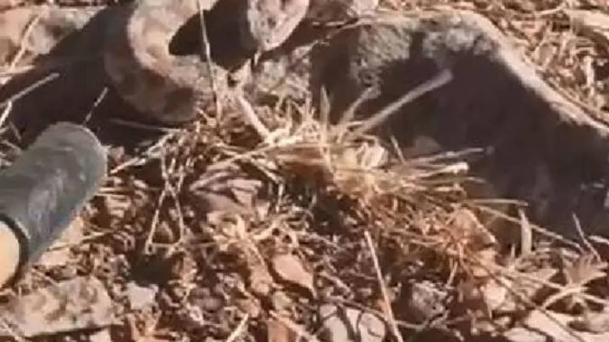 hjjhhj-2023-10-03t103146-980