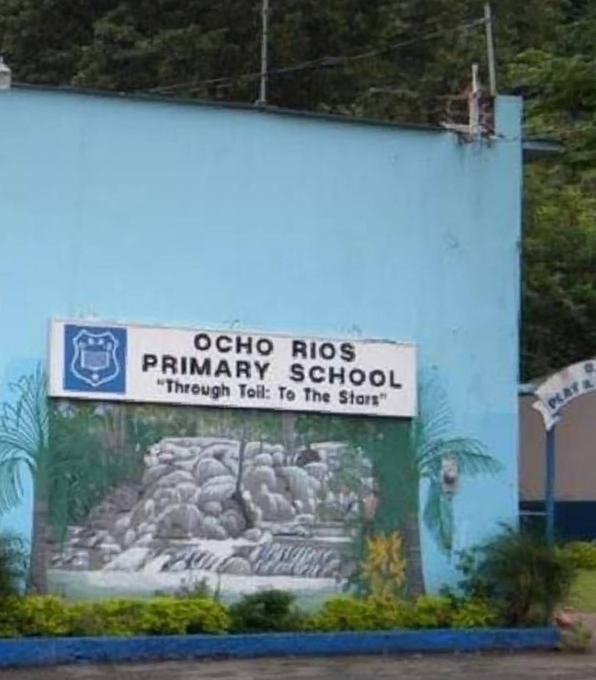 jamaikada-ilkokul-ogrencilerine-uyusturucu-iceren-seker-verildi