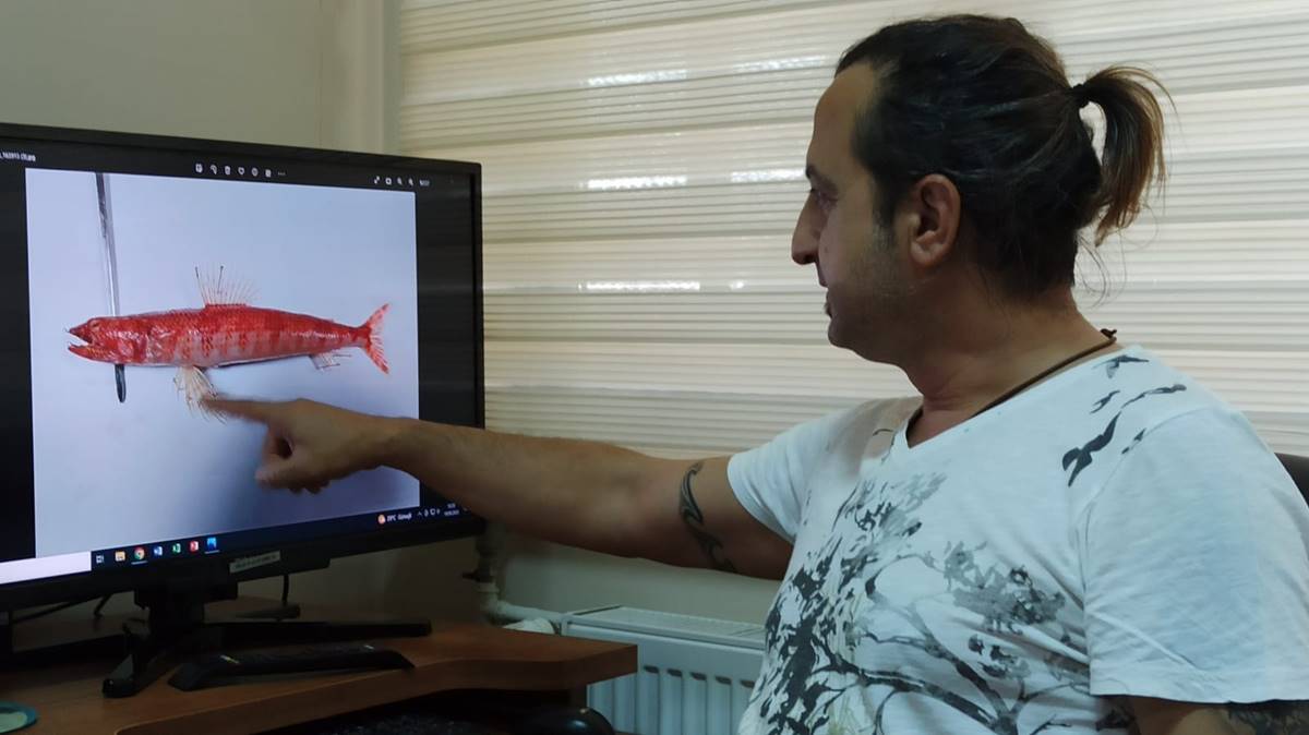 kizildenizde-yasayan-balik-turu-ilk-kez-akdenizde-goruldu-6