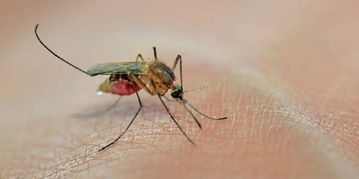 o-kucuk-canavari-gorudugunuz-yerde-oldurun-yoksa-1