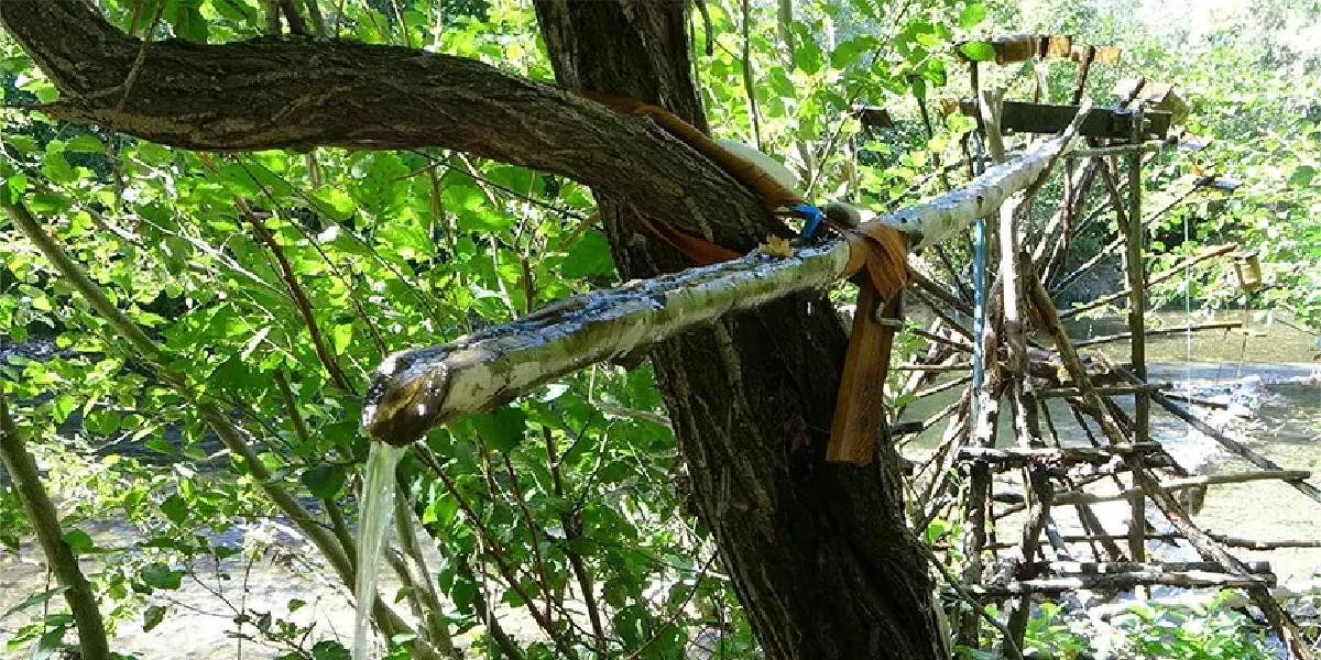 yakit-ve-elektrik-kullanmadan-uretimin-dibine-vuruyor-oyle-bir-sistem-kurdu-kisifir-maliyetle-cok-kazaniyor-1