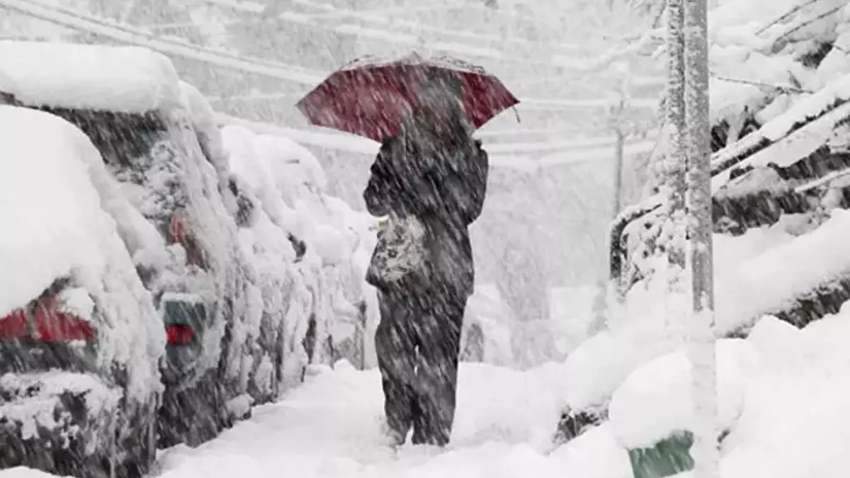 581af58218c7730b8499f0a2