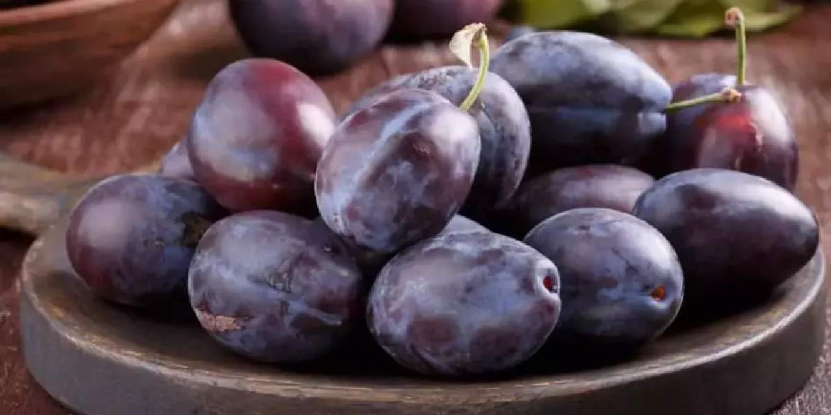 dunya-uzerindeki-en-buyuk-nimet