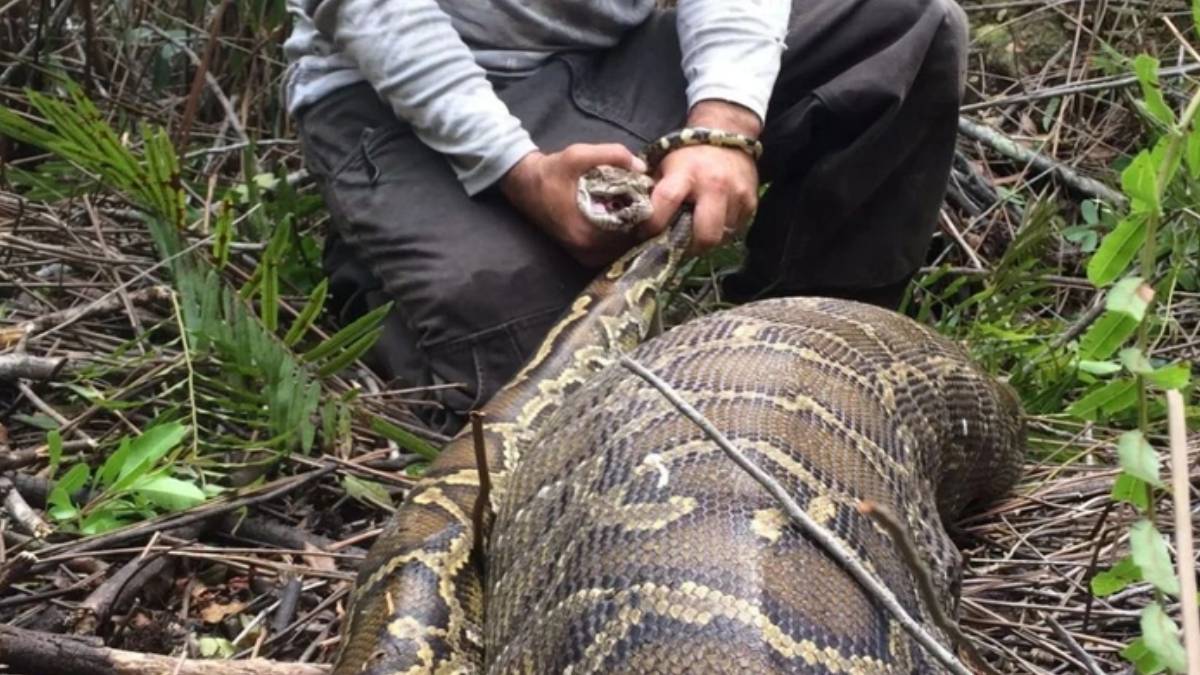 ghhghg-2023-10-05t152856-860